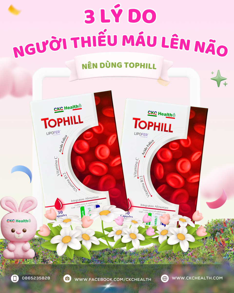3 LÝ DO NGƯỜI THIẾU MÁU LÊN NÃO NÊN DÙNG TOPHILL